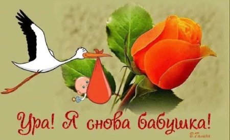 Ура я снова бабушка