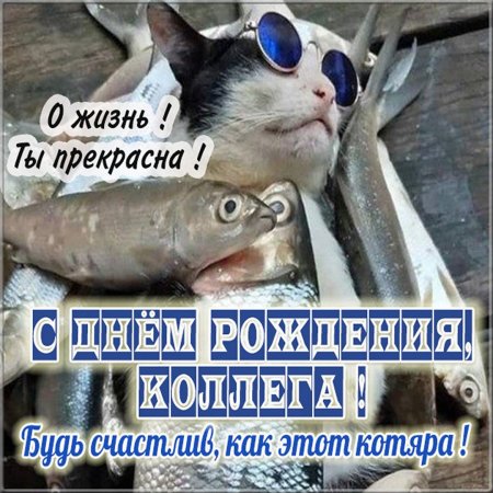 С днём рождения мужчине рыбаку