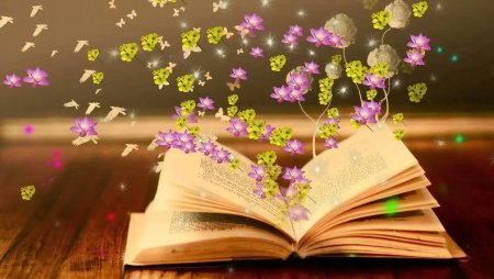 Волшебная книжка