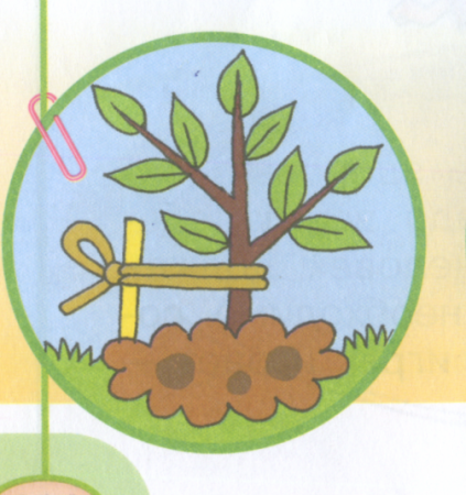 Экологические знаки для детей