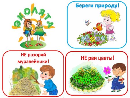 Берегите природу в детском саду