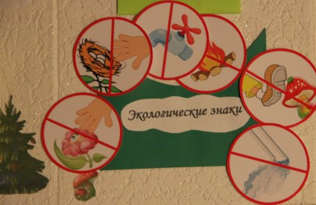 Экологические знаки в лэпбуке