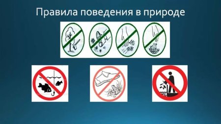 Знаки правил поведения в природе