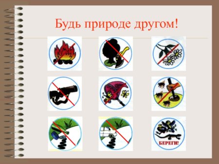 Будь природе другом