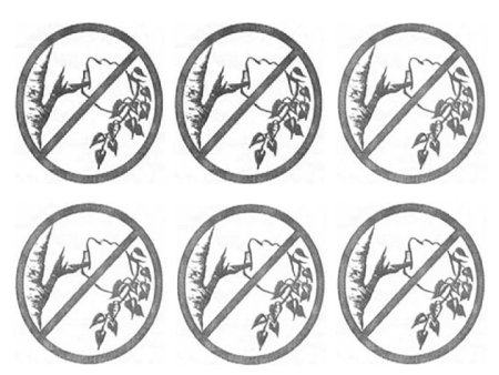 Разрешающие и запрещающие знаки по экологии