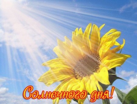 Солнечного дня и отличного настроения