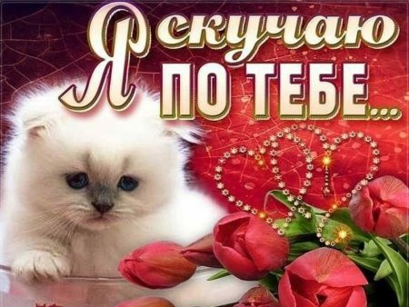 Скучаю по тебе любимая