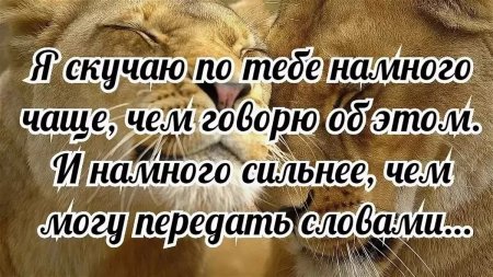 Осень сильно скучаю по тебе