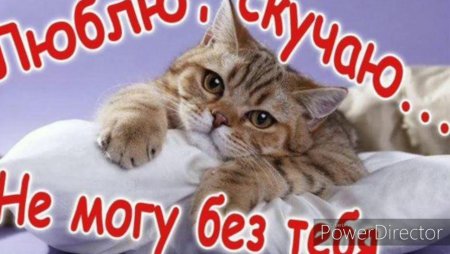 Я люблю тебя и скучаю