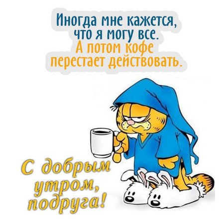 Юморные пожелания с добрым утром