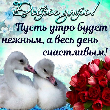Пожелания с добрым утром семье
