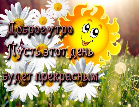 Доброе утро солнышко