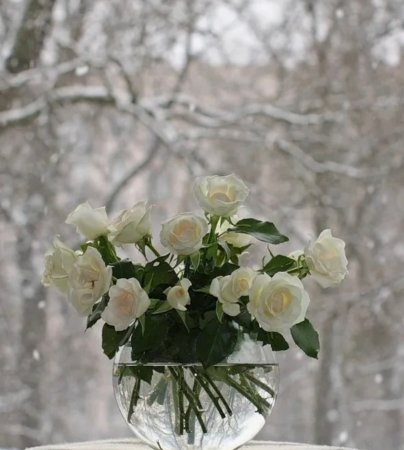 Букет на окне зима
