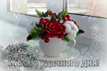 Чудесного зимнего дня и отличного настроения