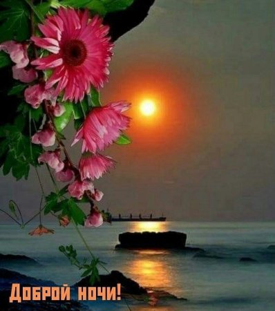 Добрый вечер испокойноойночи
