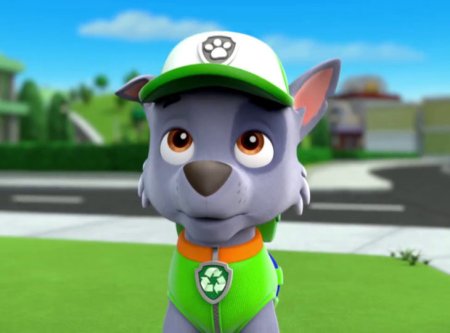 Paw Patrol Рокки
