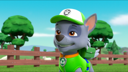 Мегащенки Рокки