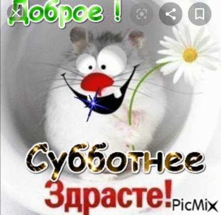 С добрым субботним утром прикольные