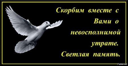 Скорбим вместе с вами