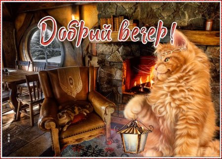Добрый вечер рыжий кот