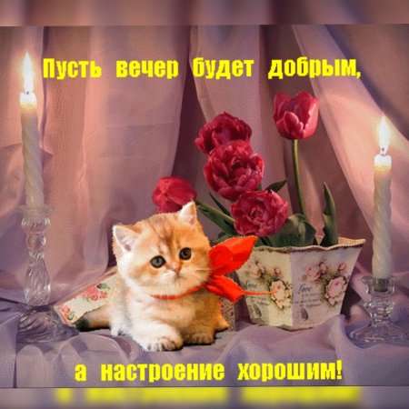 Доброго вечера и прекрасного настроения прикольные