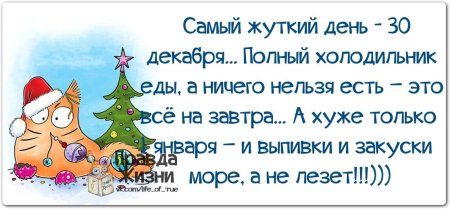 Анекдоты про новый год в картинках