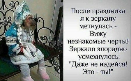 Поле праздников приколы