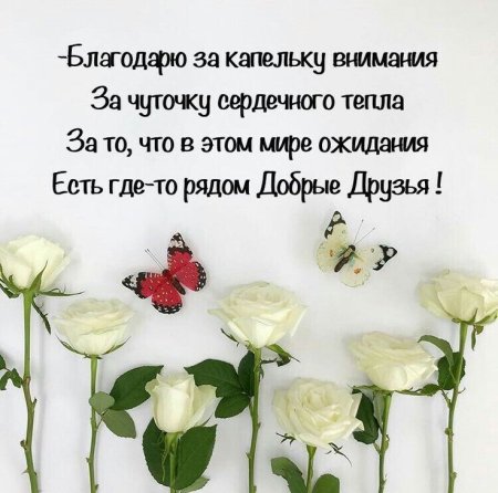 Цитаты про день рождения