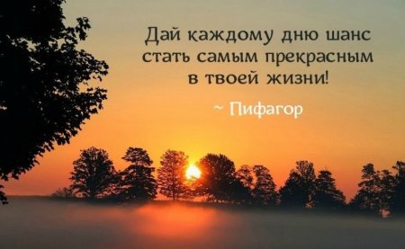 Новый день цитаты