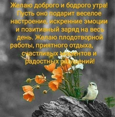 Умные поздравления с добрым утром