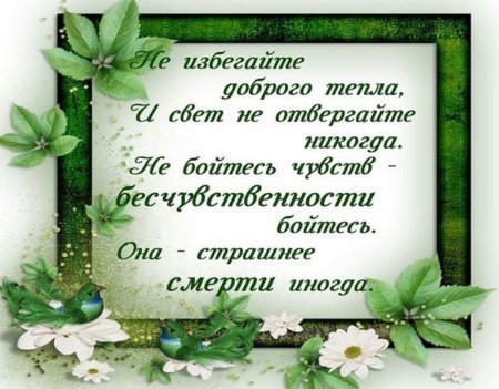 Цитаты душевные и теплые