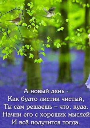 Новый день цитаты