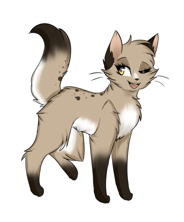 Коты Воители чёрнолапка