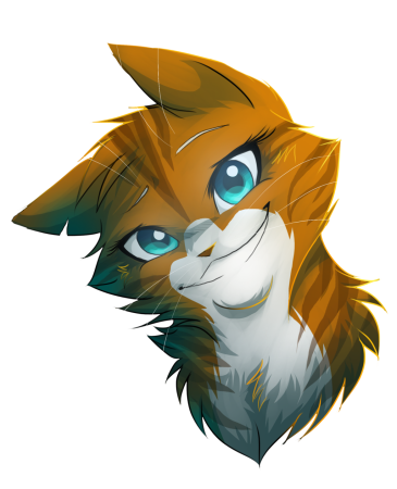 Коты Воители Варриорс