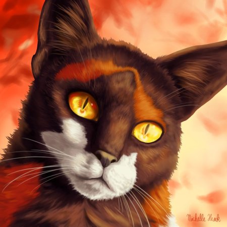 Sol коты Воители