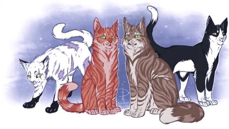 Коты Воители Звёздный Луч и Огнезвёзд