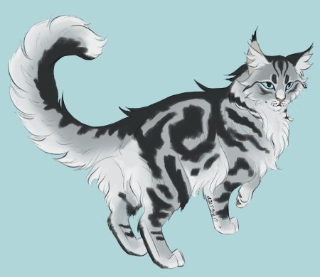 Коты Воители Ласточка