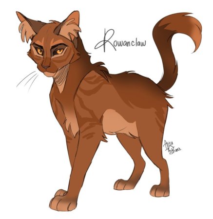 Коты Воители рябинник