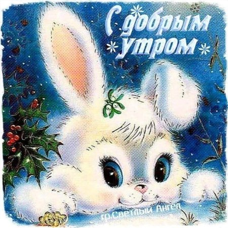 Доброе утро Зайка