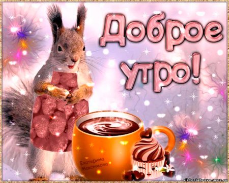 Доброе зимнее утро с белочкой