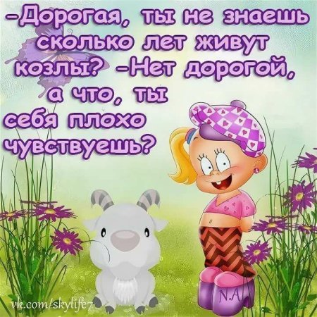 Позитивные стихи в картинках