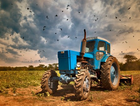 МТЗ И Т-40 В поле