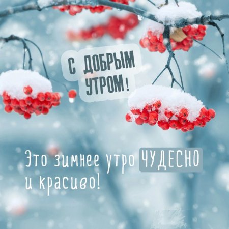 Доброе Снежное утро