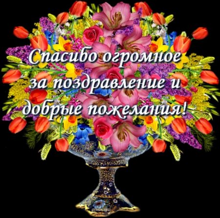 Спасибо за поздравления