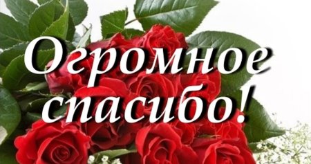 Открытка огромное спасибо за поздравления