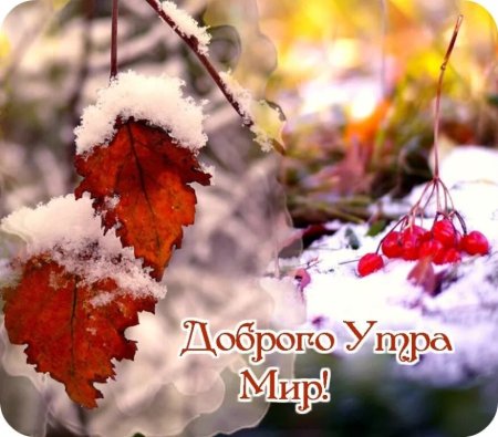 Доброе снежге утро осени