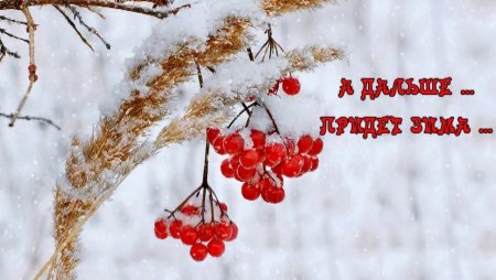 Конец осени скоро зима