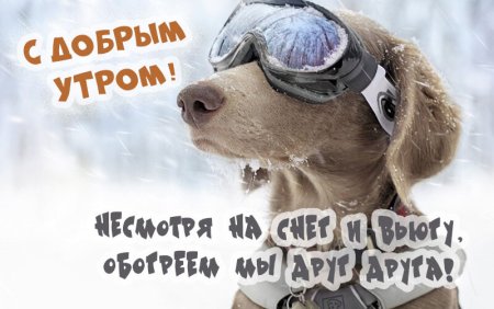Доброе утро зимнее прикольное