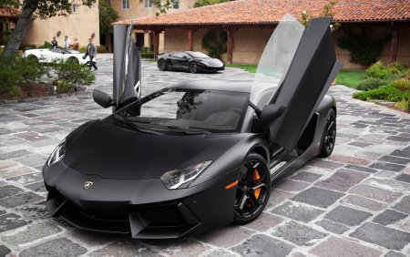 Lamborghini Aventador lp700-4 черная