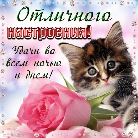Открытка "хорошего настроения"
